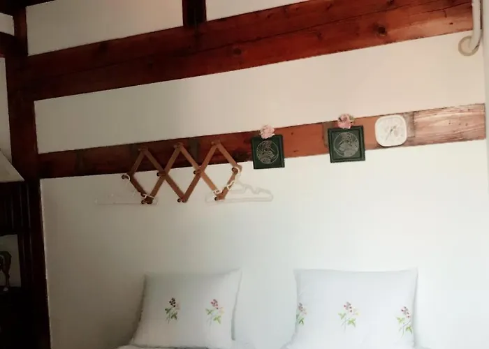 Hanok Suni